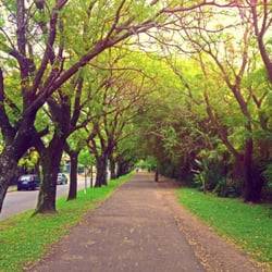 Resultado de imagen para FOTOS CIUDAD JARDIN